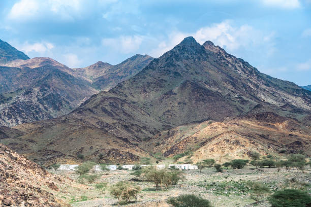 Payroll Management Outsourcing