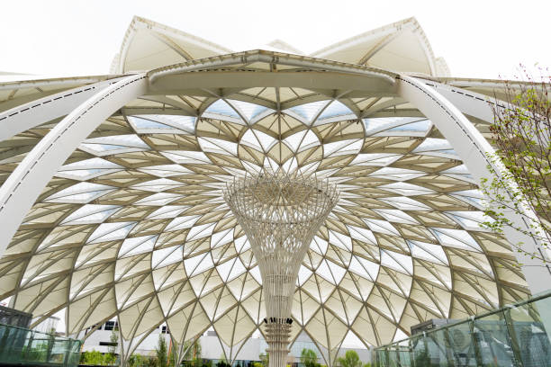 Feasibility Study Services