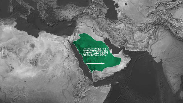 Transfer Pricing Services