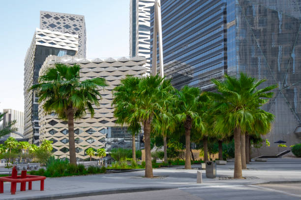 SOP Development Services