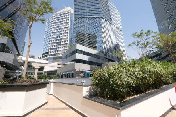 SOP Development Services