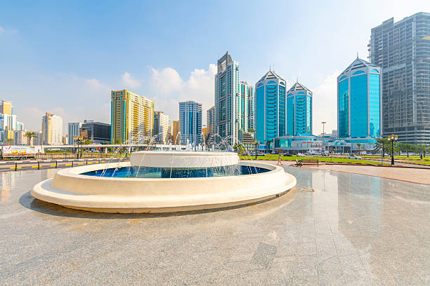 Feasibility study Services