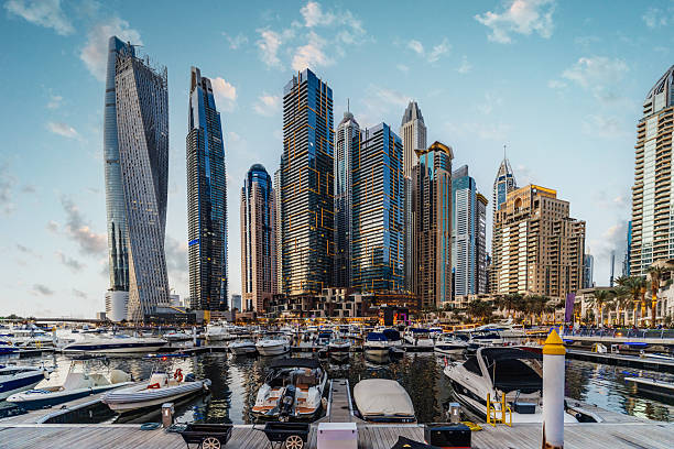 Feasibility Study Services