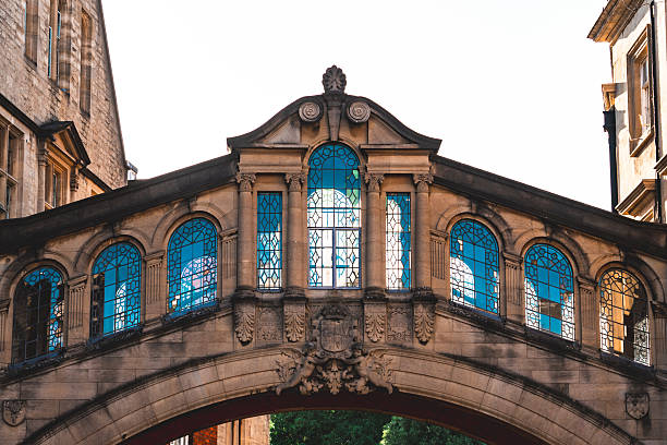 Due Diligence Services