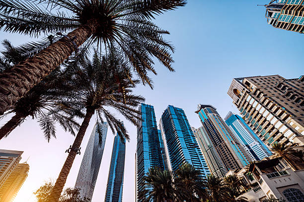 Internal Audit Services