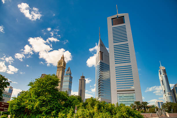 Feasibility Study Services