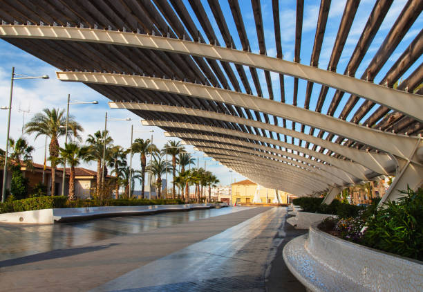 Feasibility Study Services