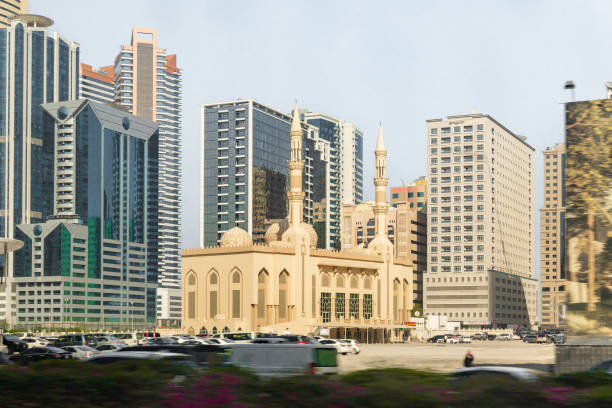 Feasibility Study Services