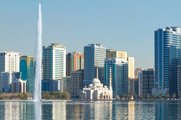 Feasibility Study Services