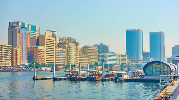 Feasibility Study Services