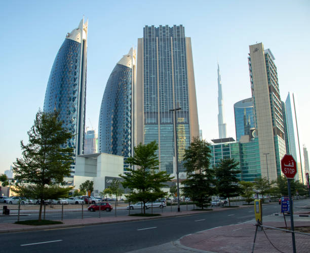 IFRS Implementation Service