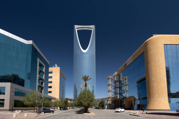 Feasibility Study Services