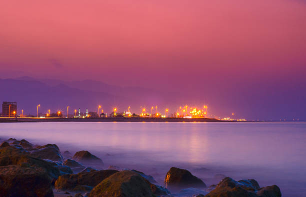 Transfer Pricing Services