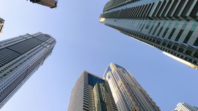 IPO Advisory Services