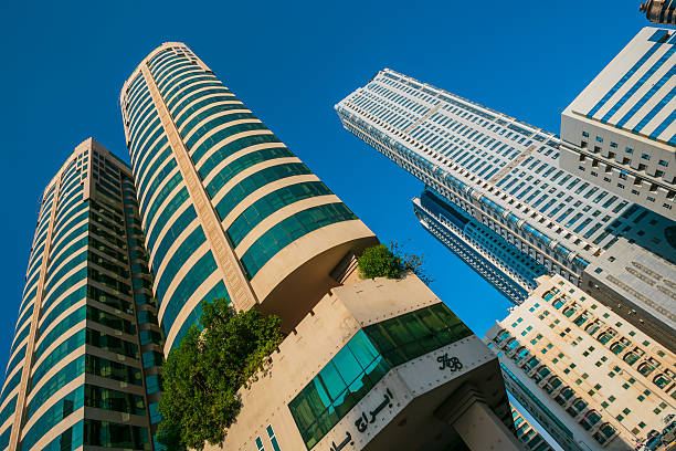 IFRS Implementation Service