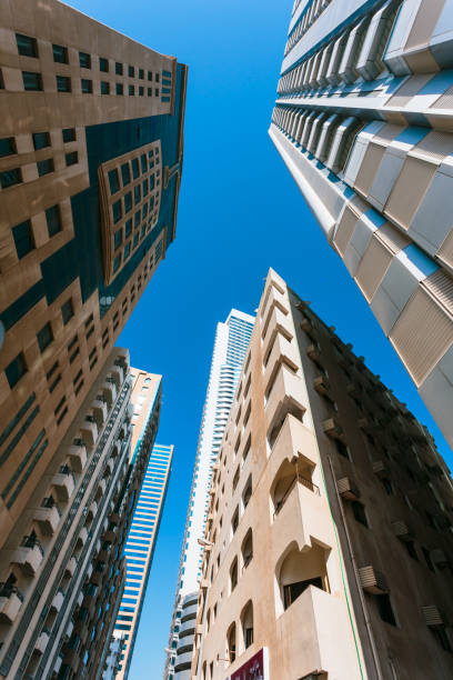 IPO Advisory Services